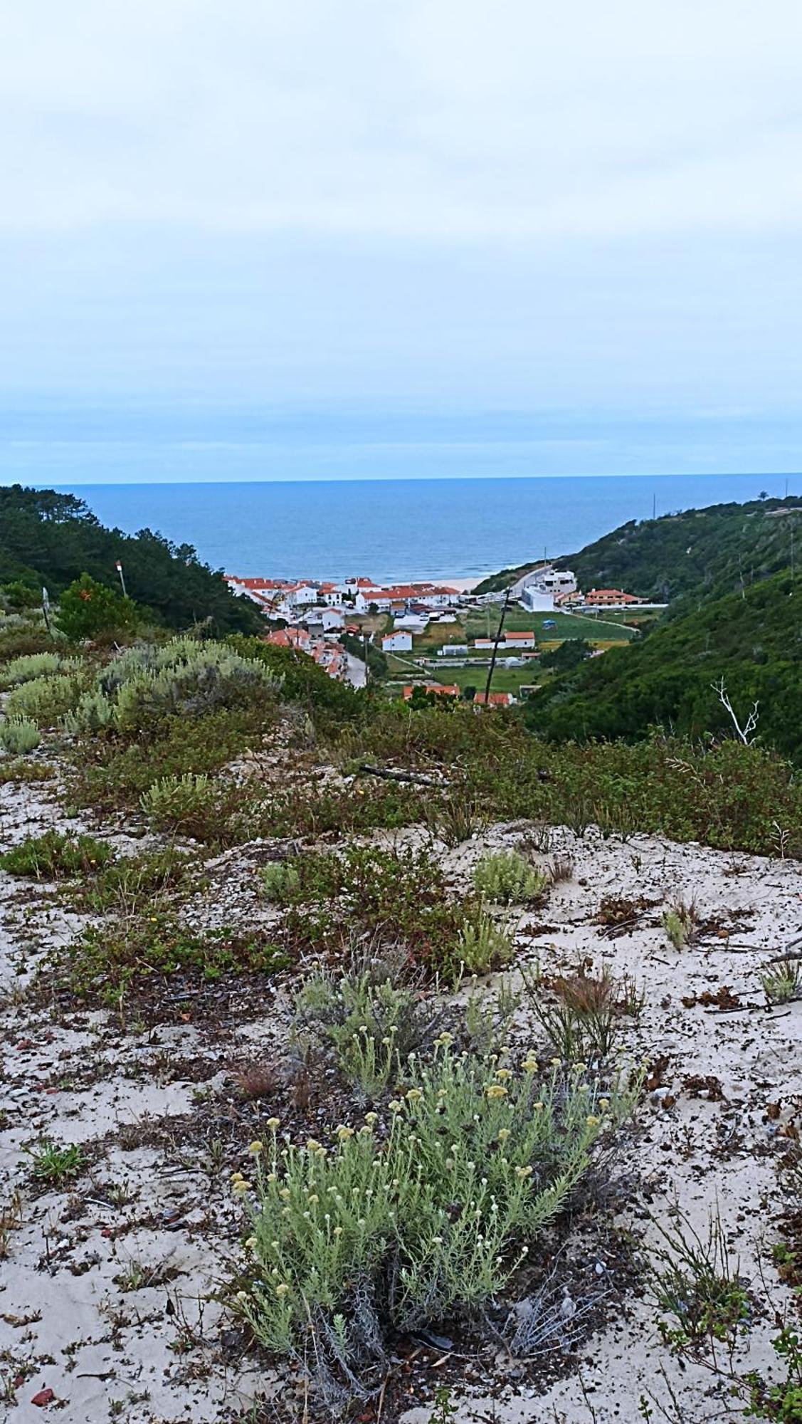 Tinyhouse Tilda - Near Famous Beaches Pataias Εξωτερικό φωτογραφία